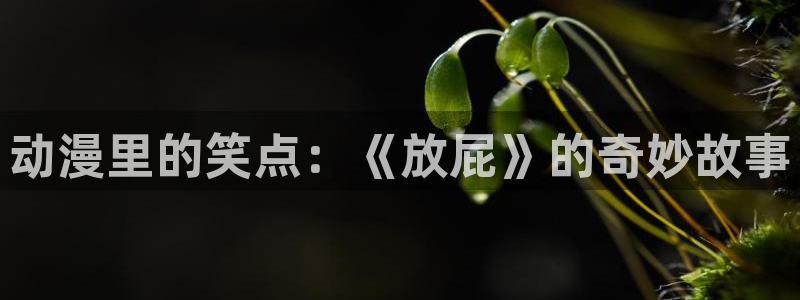 动漫天堂18：动漫里的笑点：《放屁》的奇妙故事