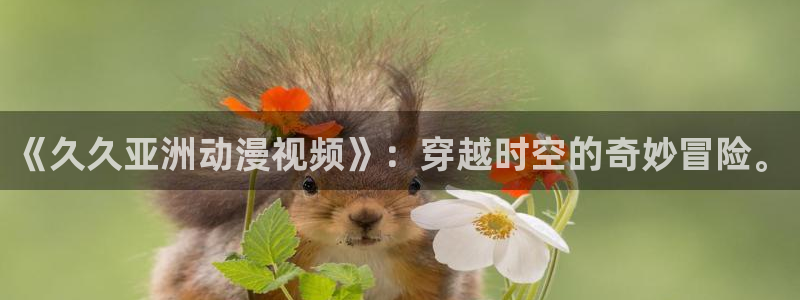 coco动漫天堂：《久久亚洲动漫视频》：穿越时空的奇妙冒险。