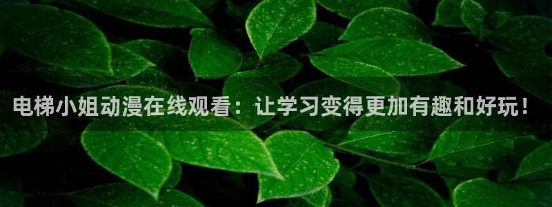 动漫天堂免费下载：电梯小姐动漫在线观看：让学习变得更加有趣和好玩！