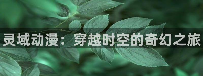 动漫天堂免费在线观看：灵域动漫：穿越时空的奇幻之旅
