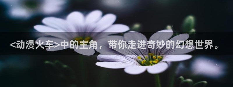3d动漫天堂网：<动漫火车>中的主角，带你走进奇妙的幻想世界。