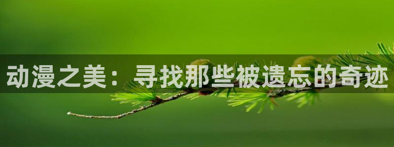动漫天堂免费观看：动漫之美：寻找那些被遗忘的奇迹