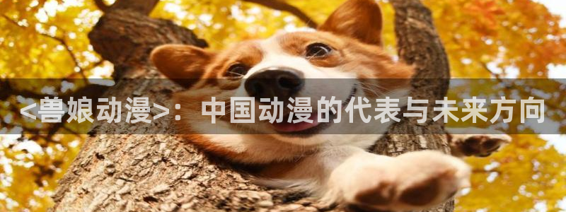 h动漫天堂：<兽娘动漫>：中国动漫的代表与未来方向