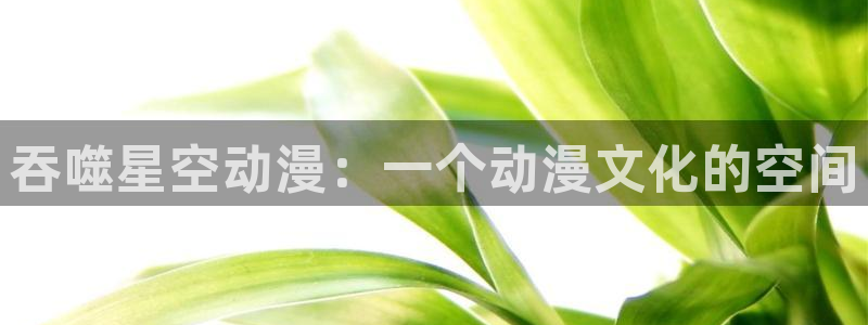 bt动漫天堂：吞噬星空动漫：一个动漫文化的空间