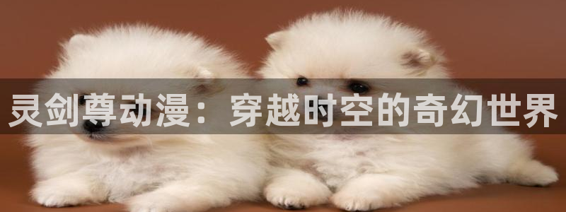 动漫天堂在线看：灵剑尊动漫：穿越时空的奇幻世界