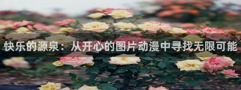 内地动漫天堂：快乐的源泉：从开心的图片动漫中寻找无限可能