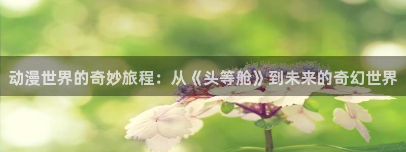 动漫天堂免费版：动漫世界的奇妙旅程：从《头等舱》到未来的奇幻世界