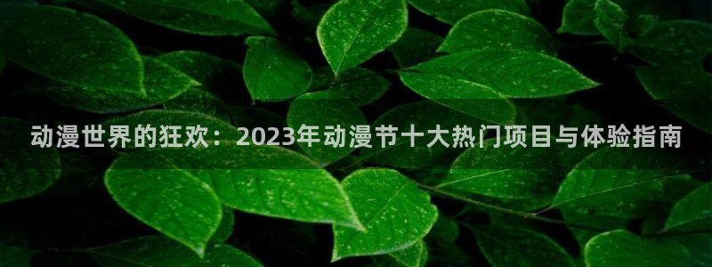 3d动漫天堂：动漫世界的狂欢：2023年动漫节十大热门项目与体验指南