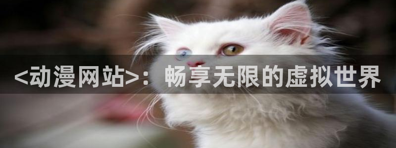 动漫天堂91：<动漫网站>：畅享无限的虚拟世界