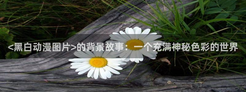 原神禁动漫天堂：<黑白动漫图片>的背景故事：一个充满神秘色彩的世界