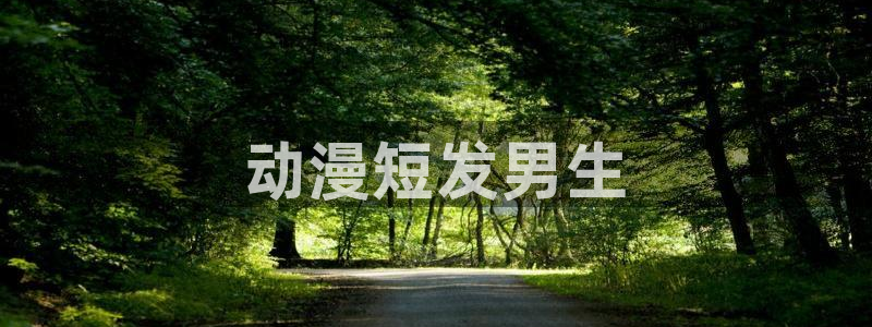 动漫天堂下载：动漫短发男生